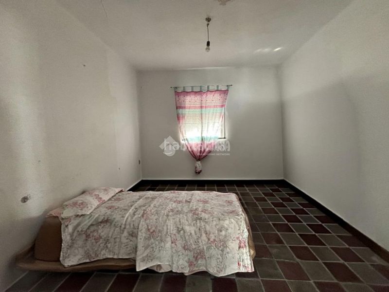 Foto bd58eba0-678b-4039-9027-63b011926d50. Pis a Barbate Barbate