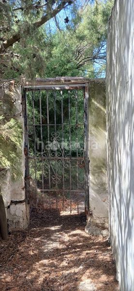 Foto 2746d056-5d34-4011-815e-f62e71c7c212. Masia amb piscina a Barbate Barbate
