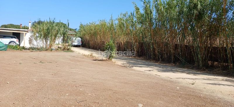 Foto 40099a21-c375-415f-bc63-d6d9a71ca403. Masia amb piscina a Barbate Barbate