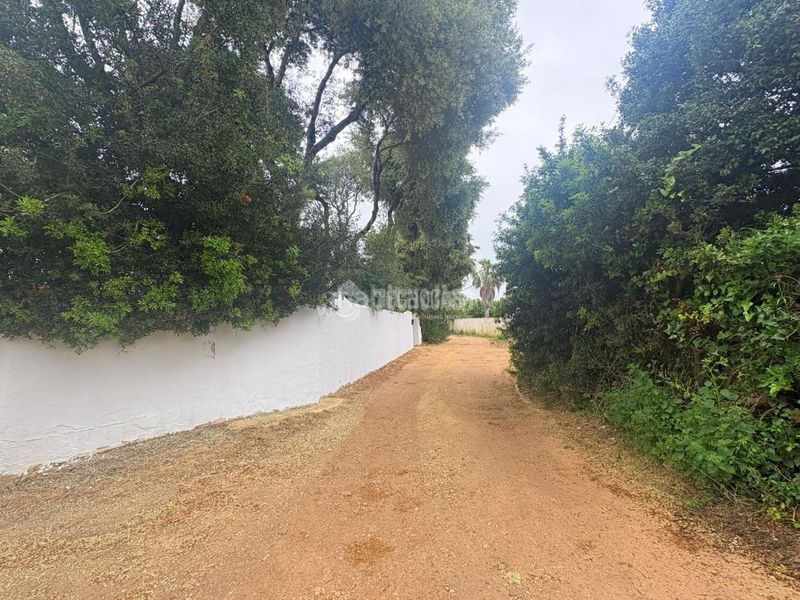 Foto 5430d19a-498d-46de-9ef7-35af91bc503d. Terreny residencial a Zahora Barbate