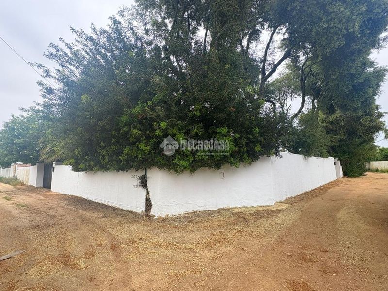 Foto 74e339bf-c5f4-446f-bc45-49d2e6ca8d3b. Terreny residencial a Zahora Barbate