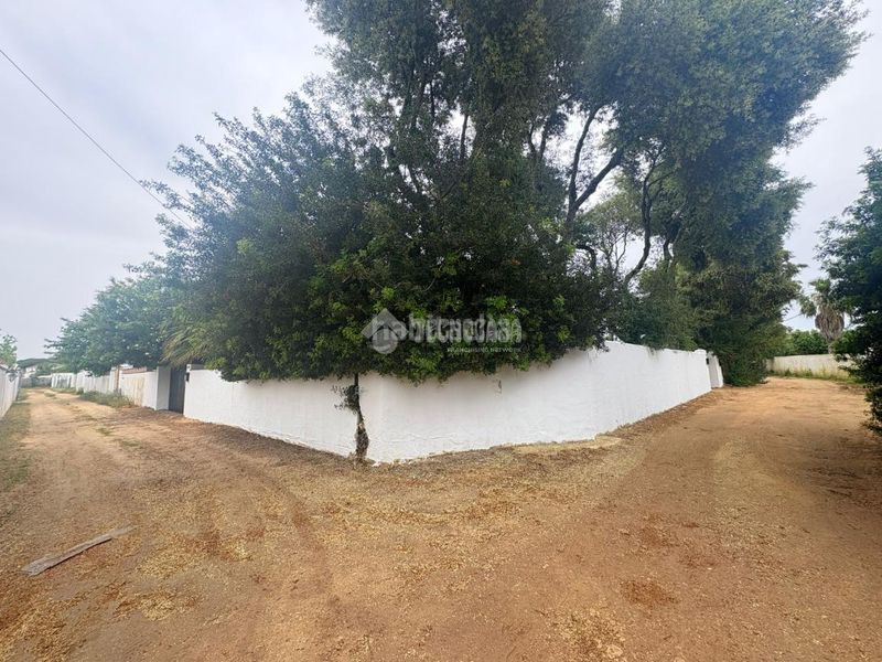 Foto a1bfb0a9-2e41-4a88-b3ee-8876d1c6cfdf. Terreny residencial a Zahora Barbate