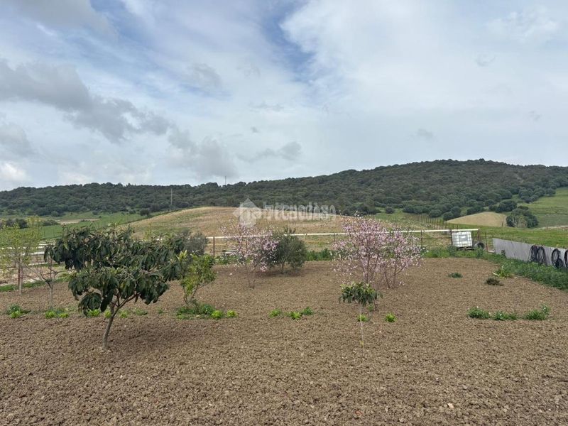 Foto 12174585-56d9-4639-a704-bfa7443287f1. Finca rústica a Vejer Vejer de la Frontera
