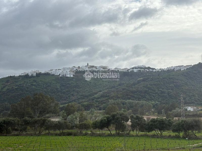 Foto 7312c9c5-b373-46b1-ac26-a7a0045fa1b7. Finca rústica a Vejer Vejer de la Frontera