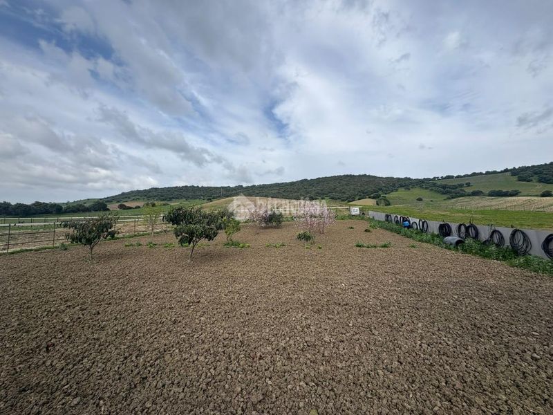 Foto ae4e2d3c-6aa6-4379-a678-45dddec5a710. Finca rústica a Vejer Vejer de la Frontera