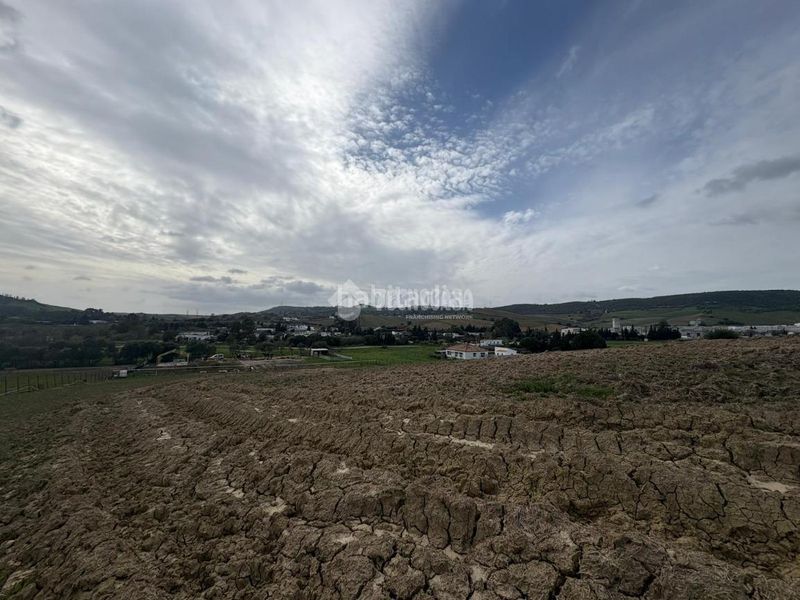 Foto ca92b23c-2979-4798-b673-eb88c6c3065a. Finca rústica a Vejer Vejer de la Frontera