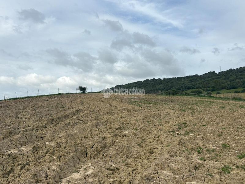 Foto e46a5654-3a34-4561-a648-7630344fce3c. Finca rústica a Vejer Vejer de la Frontera