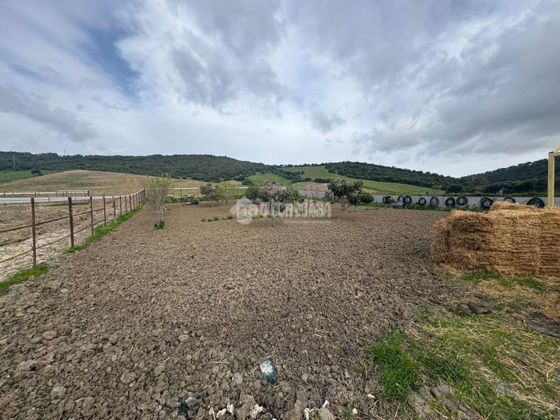 Foto ff84b345-6d84-42a2-867a-8a31e258a5ec. Finca rústica a Vejer Vejer de la Frontera