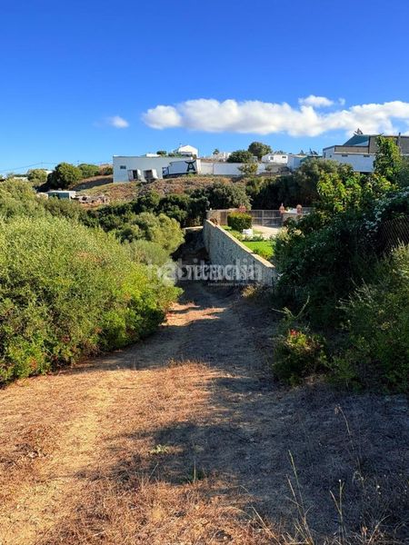 Foto 0ca02bc1-13a0-4ddd-924a-a5a4ab235089. Finca rústica a Vejer Vejer de la Frontera