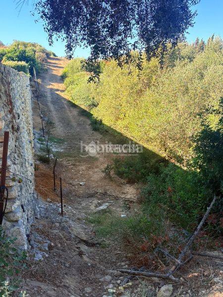 Foto 175efb78-32dc-4dd3-98c6-ba8015adbb21. Finca rústica a Vejer Vejer de la Frontera