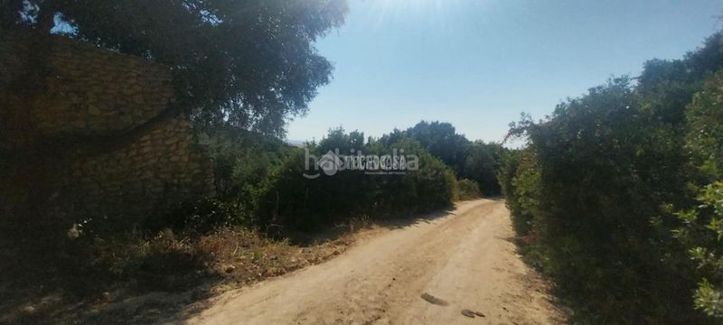 Foto 1c510808-cdd2-4eb7-92f7-7edfcb7ce68b. Finca rústica a Vejer Vejer de la Frontera