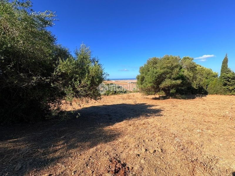Foto a0798f48-027b-4413-906d-38f43a5c0d3e. Finca rústica a Vejer Vejer de la Frontera