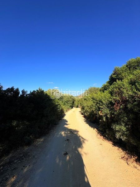 Foto d66e83a1-079b-4adf-8661-9e54a646b90f. Finca rústica a Vejer Vejer de la Frontera
