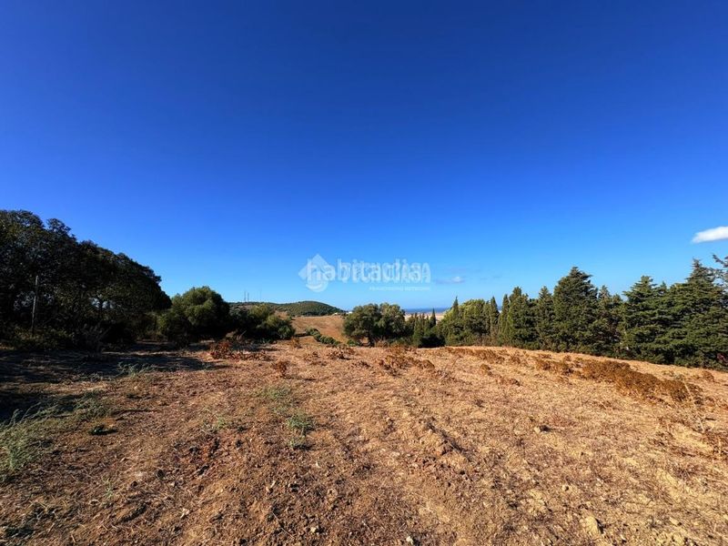 Foto d6f05015-11d3-42e4-ae09-9922fecc3309. Finca rústica a Vejer Vejer de la Frontera