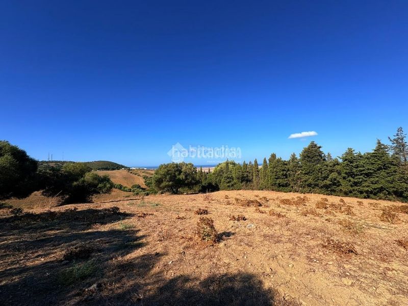 Foto f057863c-c1d0-4537-870d-c97b95278b05. Finca rústica a Vejer Vejer de la Frontera