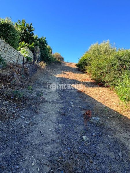 Foto faa5a67e-87e0-4a52-b8d1-15761ef9a516. Finca rústica a Vejer Vejer de la Frontera