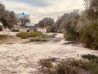Solar industrial a Barbate. Terrenos en venta en barbate