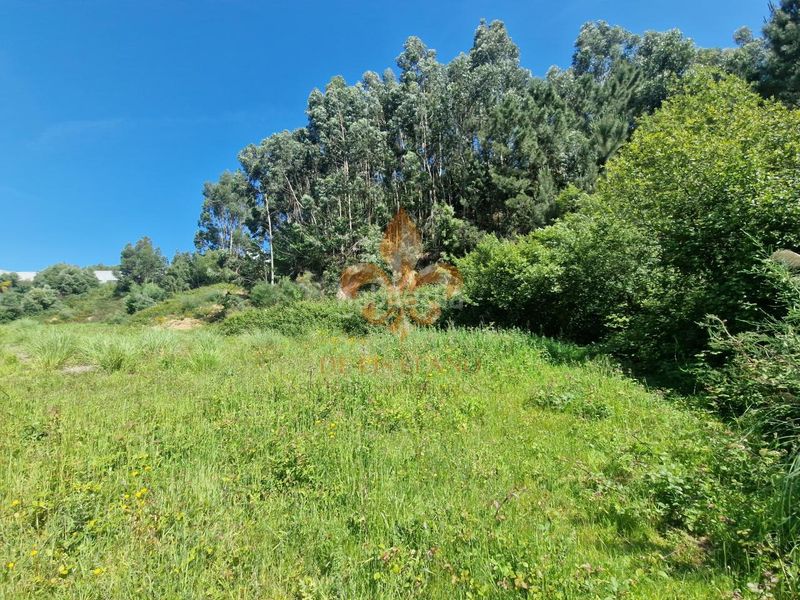 Foto 26479da1-7b8f-4c1c-901d-22bf4ced6caf. Residential plot in Bembrive Vigo