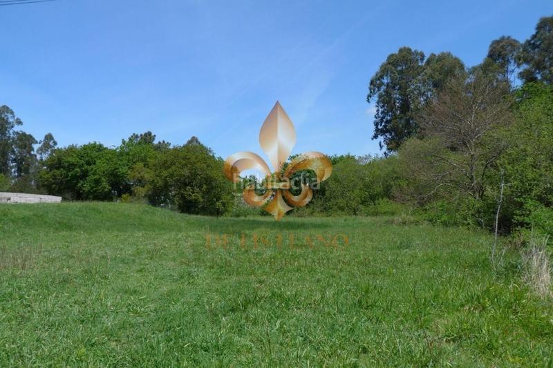 Foto ae98fd81-4de3-482a-bb2c-21495ea78e9a. Finca rústica a lugar portela 4 a Gondomar