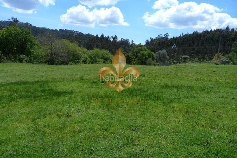 Foto d9393ae0-0a2f-47c4-8e6a-513ff3baf0bc. Finca rústica a lugar portela 4 a Gondomar