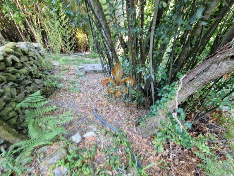 Foto 080f553d-ce08-4d6f-ace3-fcfe979d3d14. Masia amb calefacció a Mondariz