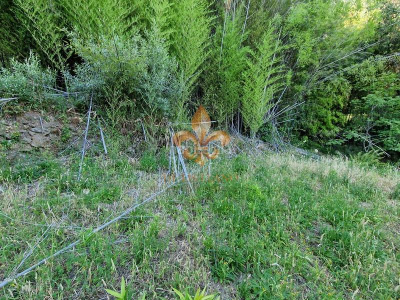 Foto 4c31055a-8ef5-4486-9cca-80374a6ca53a. Masia amb calefacció a Mondariz