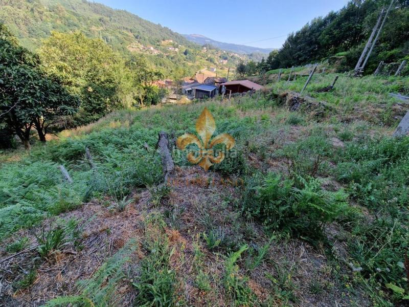 Foto 4df7ddec-9ab3-45c2-b797-613fd2baf389. Masia amb calefacció a Mondariz