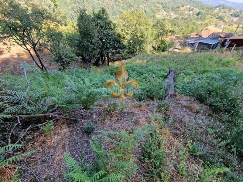 Foto 4e9185a8-ea69-4011-8c27-bd4c071afd65. Masia amb calefacció a Mondariz