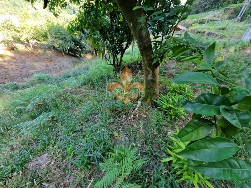 Foto 5ae7814a-5a59-497b-8bdb-c4ec6b5c6aaa. Masia amb calefacció a Mondariz