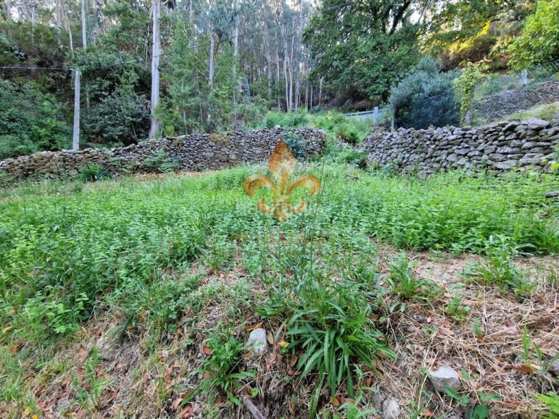 Foto 6248c042-0924-493d-91d1-703f4634401a. Masia amb calefacció a Mondariz