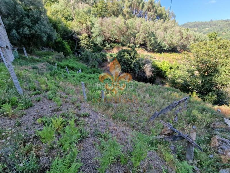 Foto 90da6d78-dcd9-41ed-8d23-3e9e8b225301. Masia amb calefacció a Mondariz