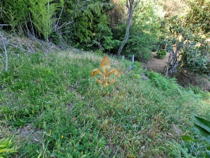 Foto 9dfdf4b5-a0fe-41db-bf45-73e9b2156509. Masia amb calefacció a Mondariz