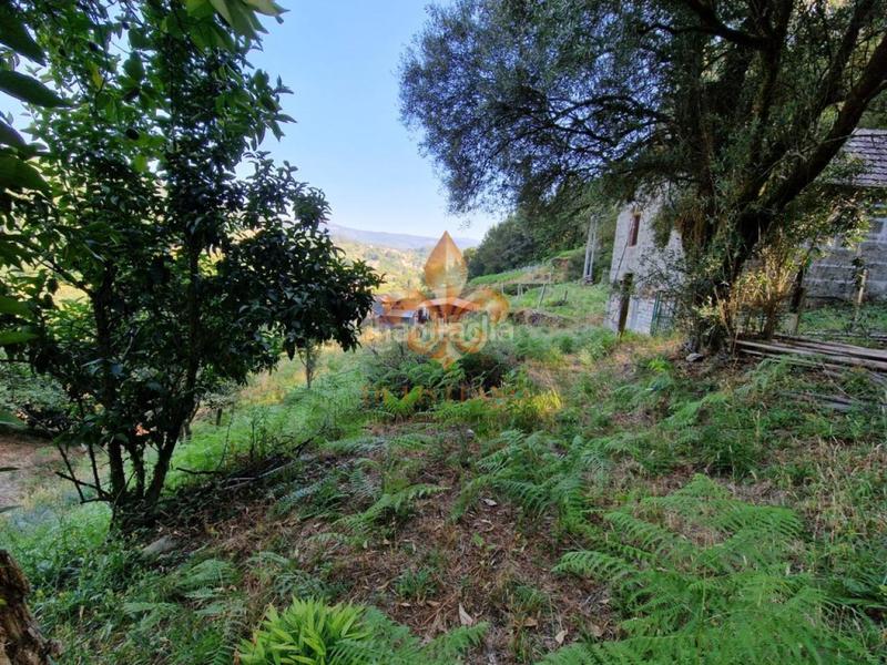 Foto bcb74ef0-4e84-4051-b350-def26ed3e7b5. Masia amb calefacció a Mondariz