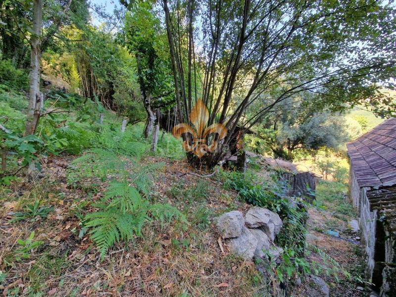 Foto dcc4ba7c-1150-498a-9913-90aacc02b4df. Masia amb calefacció a Mondariz