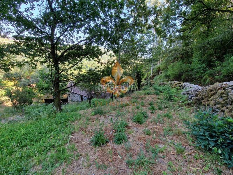 Foto fea95a9c-1921-4905-88cd-bda8b210beea. Masia amb calefacció a Mondariz