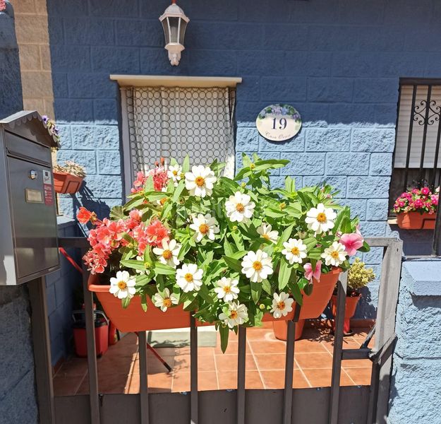 Foto b86c68de-402a-49ec-8705-03ff55a5bb5e. Casa a schiera con parcheggio in Villahermosa del Campo