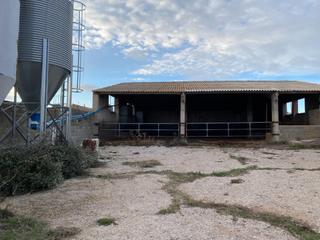 Bâtiment à usage industriel à Tornos. Se vende granja en tornos teruel