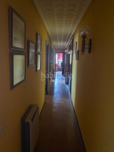 Foto e5df2f7c-f095-471b-b8be-1c12a265b2a0. Pis a Calamocha