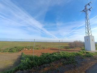 Finca rústica a Sanlúcar la Mayor. Campo de 90hectareas con casa y 3 naves