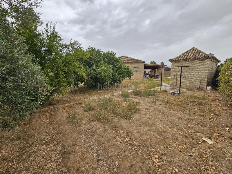 Foto 91949736-7347-408b-b0df-4228a2daf2db. Xalet amb aparcament piscina a Rinconada (La)