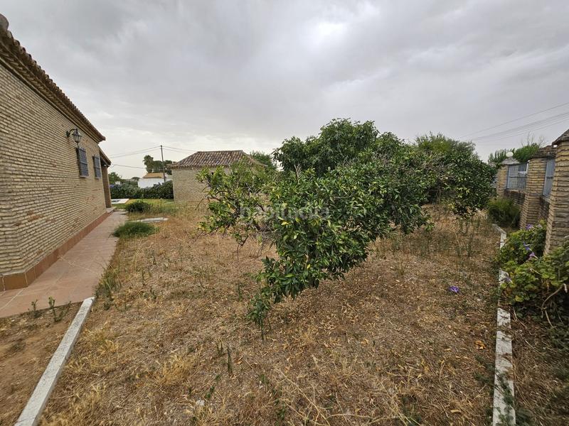 Foto 9dcef34e-98ba-4e5d-afad-c6bcac8473b1. Xalet amb aparcament piscina a Rinconada (La)