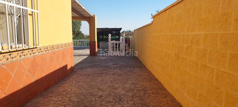 Foto 959c4ac4-6b29-4434-bb6d-6778978e8b5e. Finca rústica terreno con casa en la puebla del rio en Puebla del Río (La)