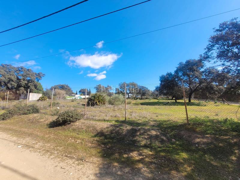 Foto 16feddfe-76b8-4256-9c56-f36affe74323. Finca rústica terreno en Castilblanco de los Arroyos