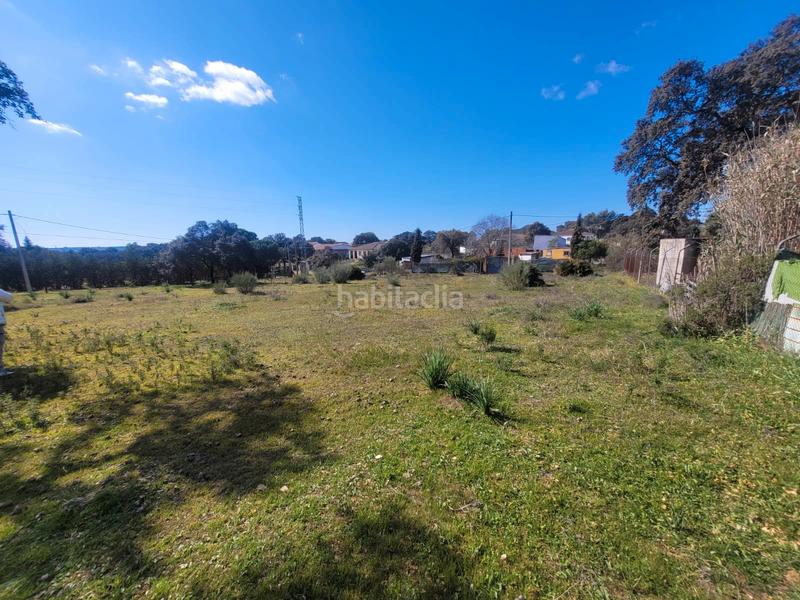 Foto 95af52f3-3e38-466f-b5c2-9a95cf9d1406. Finca rústica terreno en Castilblanco de los Arroyos