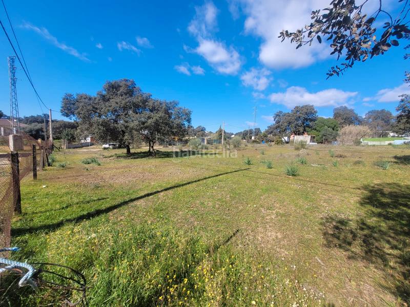 Foto af7452aa-ac3e-4e91-8e03-7853e8777924. Finca rústica terreno en Castilblanco de los Arroyos