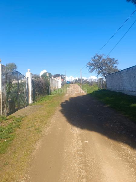 Foto 0cf52795-c0a2-4d29-84a6-266e11579dc0. Finca rústica terreno en castilblanco en Castilblanco de los Arroyos