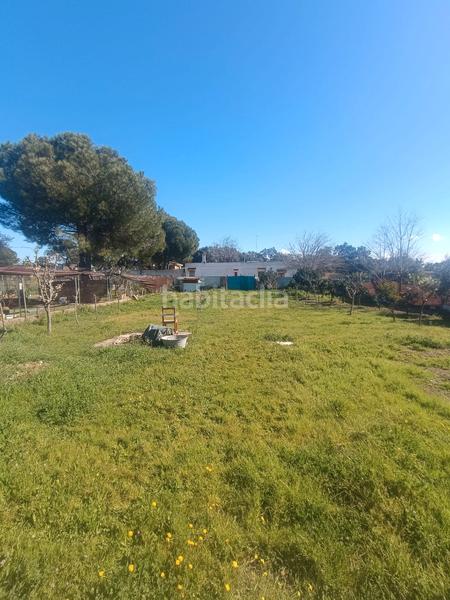 Foto 1324b074-ff03-441c-92ff-6a4acff6355c. Finca rústica terreno en castilblanco en Castilblanco de los Arroyos