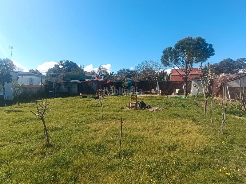 Foto 382357b2-a525-4f2e-9e8e-b84816be3e55. Finca rústica terreno en castilblanco en Castilblanco de los Arroyos