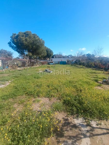 Foto 6cd61303-7e09-48b8-8dae-1f6a8b77196a. Finca rústica terreno en castilblanco en Castilblanco de los Arroyos