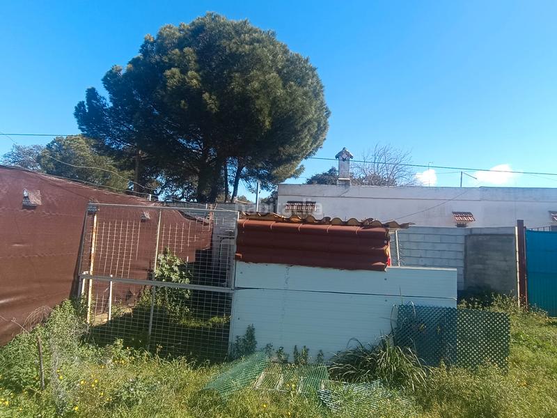 Foto 745dcd68-1bb3-4c25-8f3b-90f2ea537553. Finca rústica terreno en castilblanco en Castilblanco de los Arroyos